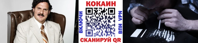 дарнет шоп  Красково  Кокаин Fish Scale 