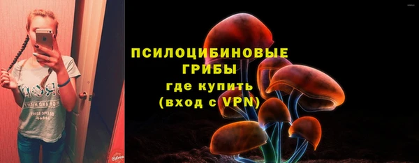 кристаллы Гусиноозёрск
