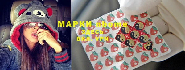 сатива Гусев