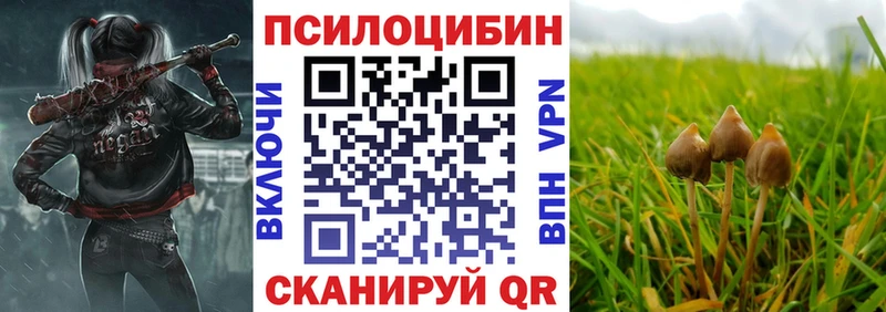 сколько стоит  Красково  Псилоцибиновые грибы GOLDEN TEACHER 